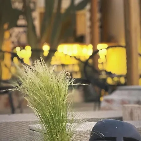 Σπίτι διακοπών La Casa Di Lusso Grande Casa -adults Only Κολύμπια