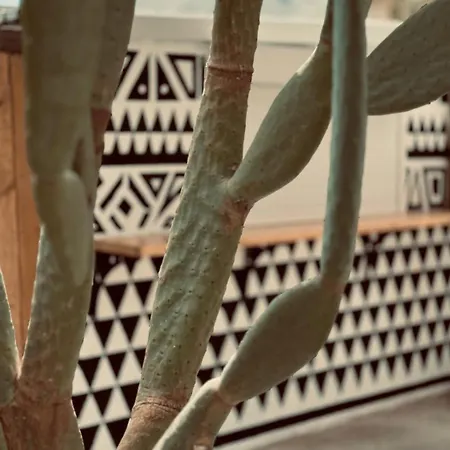 La Casa Di Lusso Grande Casa -adults Only Сasa de vacaciones