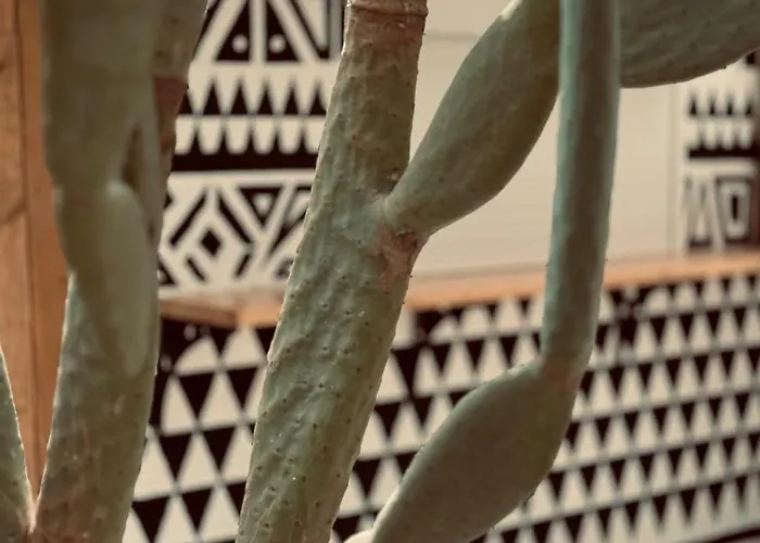 La Casa Di Lusso Grande Casa -adults Only Tatil Evi